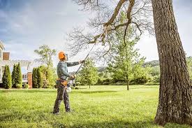 Best Pest Control for Lawns  in Lake St Croix Beach, MN